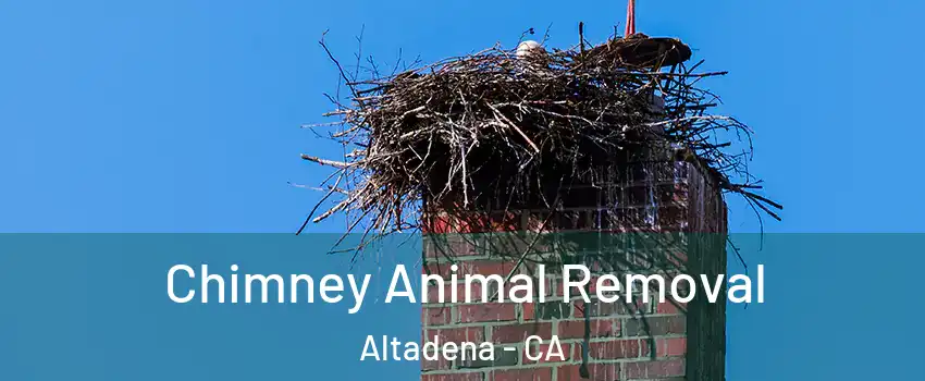 Chimney Animal Removal Altadena - CA