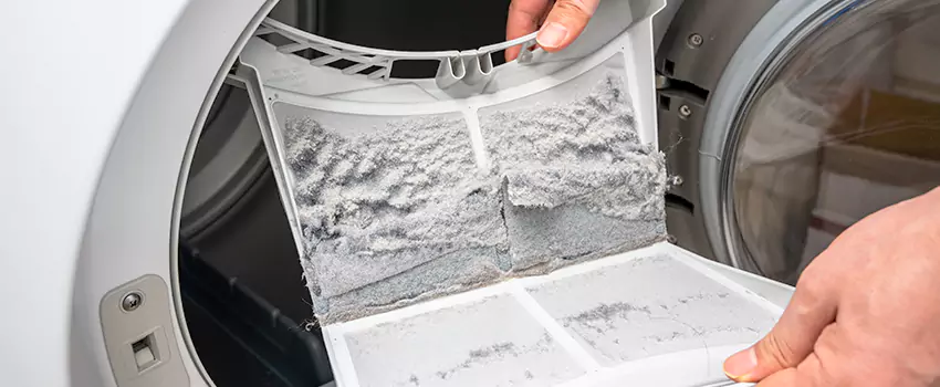 Best Dryer Lint Removal Company in Altadena, California