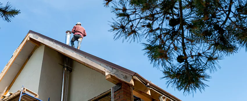 Birds Removal Contractors from Chimney in Altadena, CA
